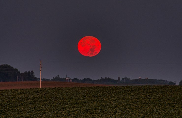 Vista della Luna piena rossa di notte da un campo coltivato